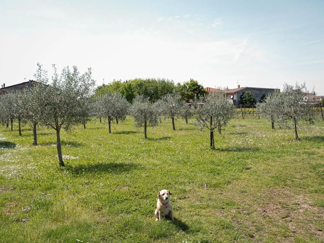 Nocleg ze śniadaniem Villa Bongiovanni San Bonifacio
